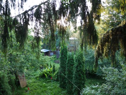 ��������� ������� ��� ��� ��� �������� (���� �12)