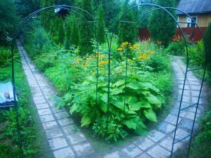 ��������� ������� ��� ��� ��� �������� (���� �16)