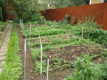 ��������� ������� ��� ��� ��� �������� (���� �17)