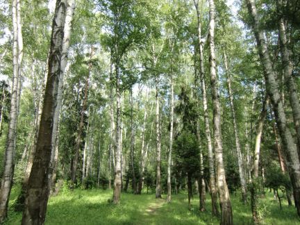 ��������� ������� ��� ��� ��� �������� (���� �19)