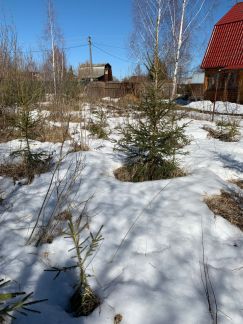 ��������� ������� ��� ��������� (���� �3)