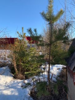 ��������� ������� ��� ��������� (���� �4)