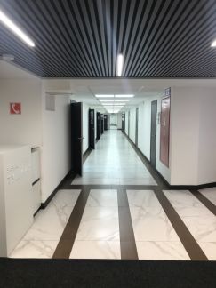 ���� ������ �������� ������ (���� �11)