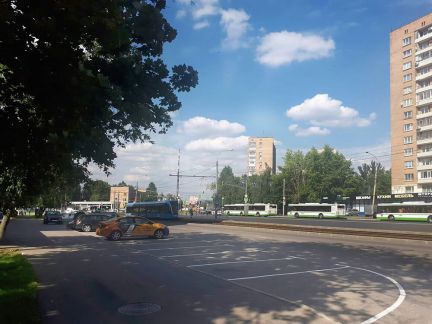       171 ( 9)