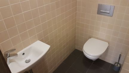 ������ ����� ����� ����������� (���� �15)