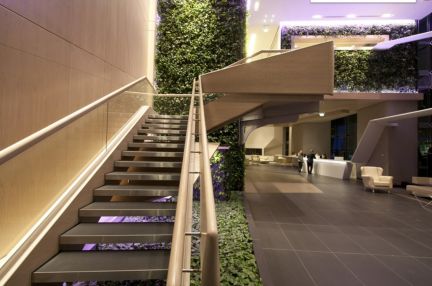 ������ ���� ����������� ���������� 8�1 (���� �11)