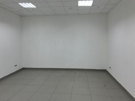      ( 2)