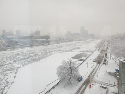 ����� ���� ������ �������� ���. 23� (���� �7)