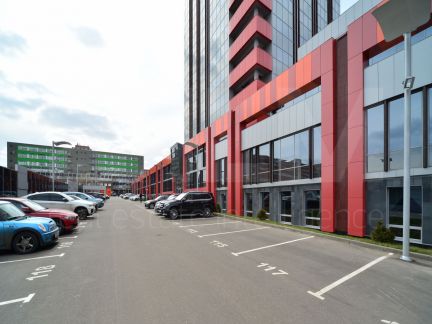 ����� ���� ��������� (���� �13)