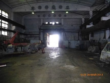     319 ( 12)
