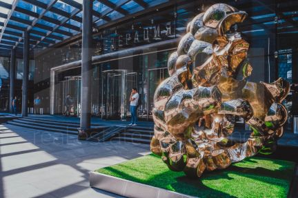 ������ ����� ����������� ���������� (���� �11)