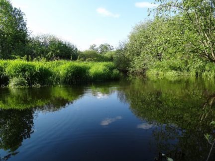 ������ ��������� ������� �� 20 �� �� ���� ������� ������� ����� ���������� 26 (���� �6)