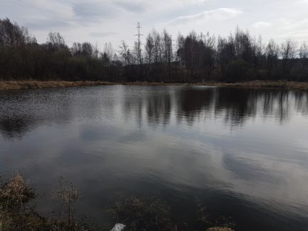 ������ ��������� ������� � ��� ������ (���� �5)