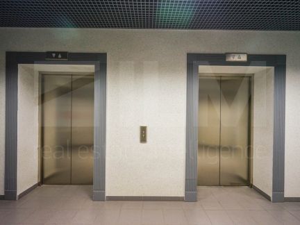 ����� ���� ������������� ��-� 31� (���� �10)