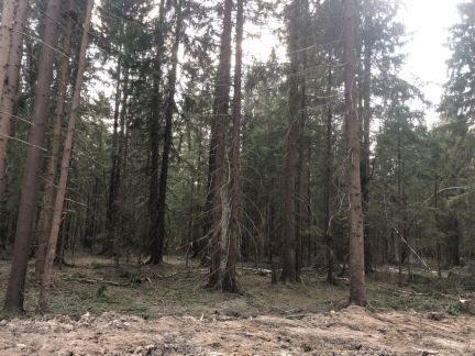 ������ ��������� ������� �� 28 �� �� ���� ������-��������� ���������������� ����� ����� �������� (���� �3)