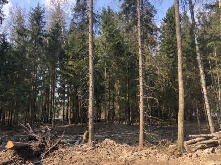 ������ ��������� ������� �� 28 �� �� ���� ������-��������� ���������������� ����� ����� �������� (���� �4)