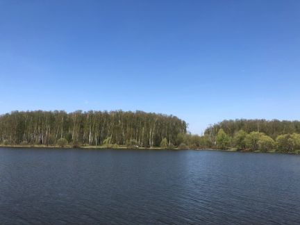 ������ ��� �� 42 �� �� ���� ��� ������ (���� �11)