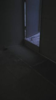      ( 5)