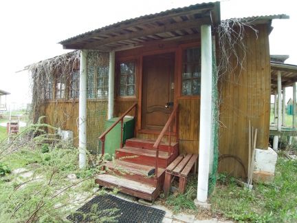 ������ ��������� ������� �� 100 �� �� ���� �. ������ 2 (���� �11)