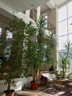 ������ ��� � ��� �������� ����� 6-� ����� ����� ���� ��18�1 (���� �3)