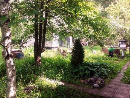 ������ ��������� ������� �� 40 �� �� ���� � ��������� (���� �4)