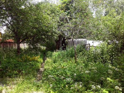 ������ ��������� ������� �� 40 �� �� ���� � ��������� (���� �12)