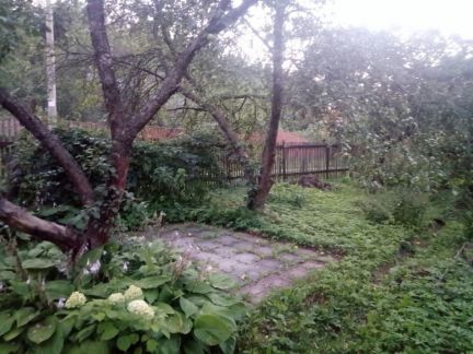 ������ ��������� ������� �� 40 �� �� ���� � ��������� (���� �13)