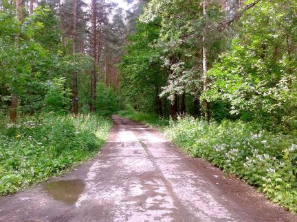 ������ ��������� ������� �� 40 �� �� ���� � ��������� (���� �16)