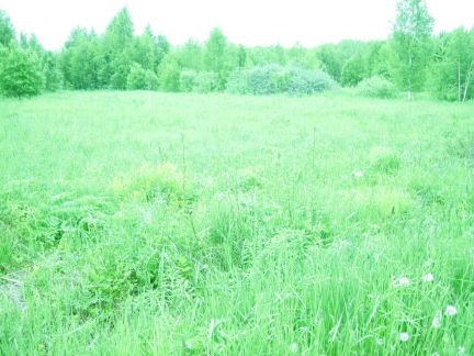 ������ ��������� ������� � ��� ������-2 �� 110 �� �� ���� (���� �6)