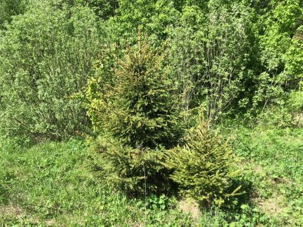 ������ ��������� ������� �� 58 �� �� ���� ����������� ����� 3 (���� �9)