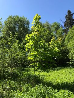 ������ ��������� ������� �� 58 �� �� ���� ����������� ����� 3 (���� �8)