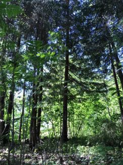 ������ ��������� ������� �� 58 �� �� ���� ����������� ����� 3 (���� �5)