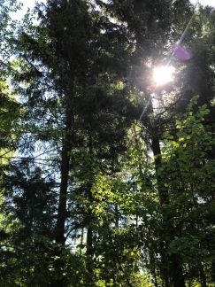 ������ ��������� ������� �� 58 �� �� ���� ����������� ����� 3 (���� �4)