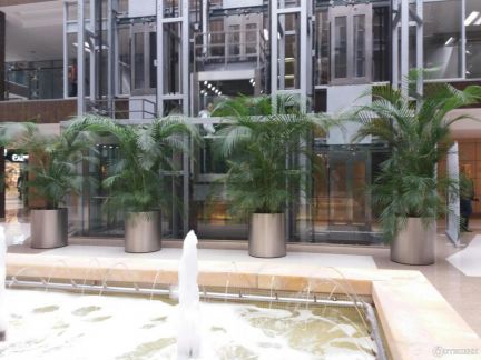 ����� ���� � �� ����� ����� (���� �2)