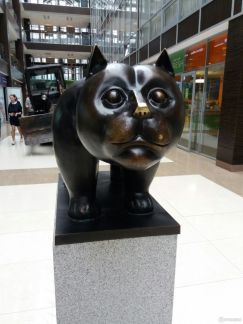 ����� ���� � �� ����� ����� (���� �13)