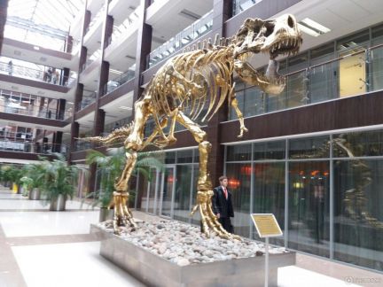 ����� ���� � �� ����� ����� (���� �11)