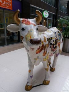 ����� ���� � �� ����� ����� (���� �9)