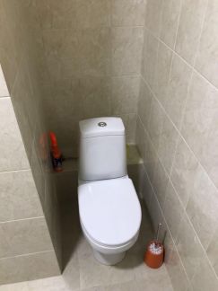          ( 5)