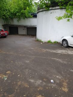       86 ( 7)