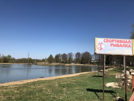 ������ ��� �� 65 �� �� ��� �. ������� (���� �9)