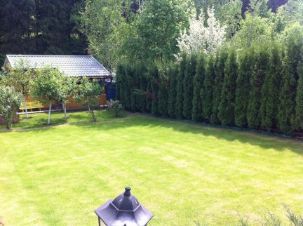 ����� ��� � �� ����������-4 (���� �5)