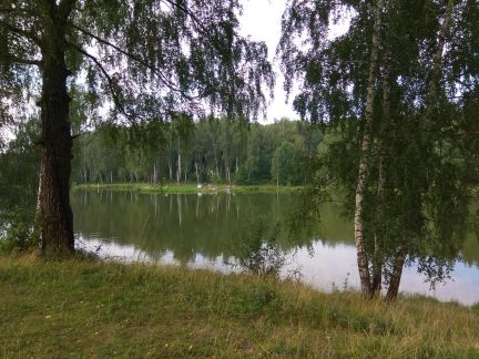 ������ ��� � ������� ������� �������������� ������ (���� �19)