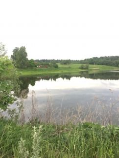 ������ ��������� ������� � ����� (���� �7)