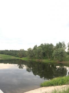 ������ ��������� ������� � ����� (���� �5)