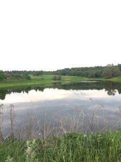 ������ ��������� ������� � ����� (���� �8)