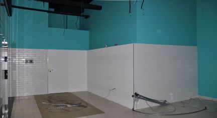       359 ( 9)
