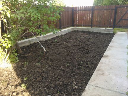 ������ ��������� ������� � ��� �����������-1 (���� �12)