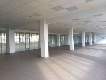 ����� ���� � �� ring park (���� �4)