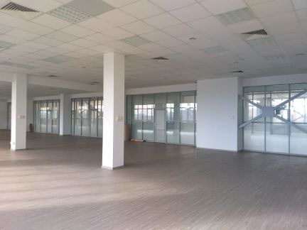 ����� ���� � �� ring park (���� �6)