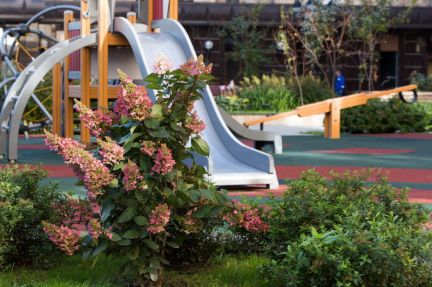 �� grand deluxe �� ������� ������ (���� �18)